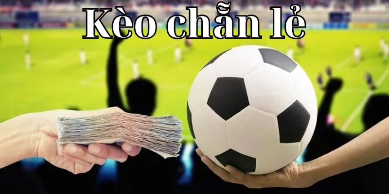 Kèo chẵn lẻ Cách đọc và phân tích kèo chẵn lẻ trên 7m
