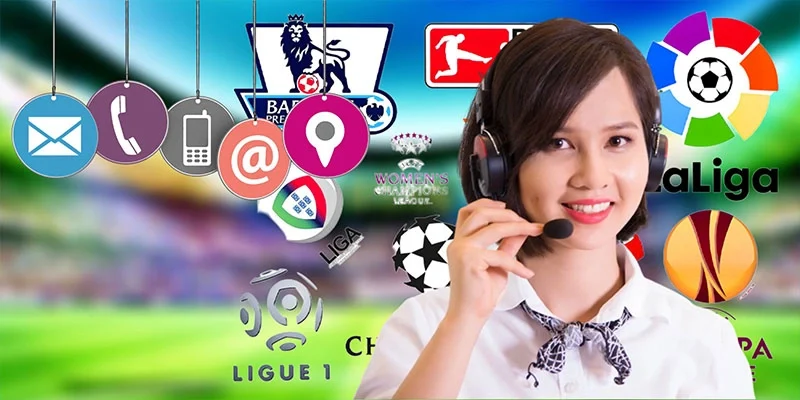 liên hệ 7m Hướng dẫn cách liên hệ 7m nhanh chóng