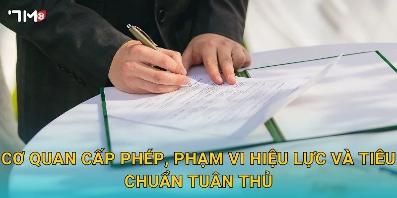 Quy trình xin giấy phép hoạt động 7m