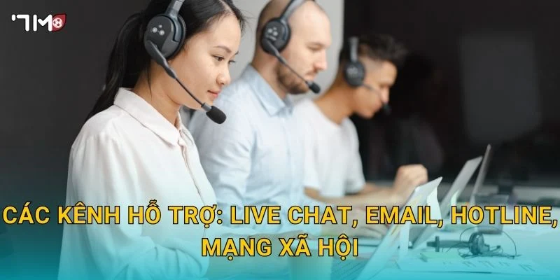 liên hệ 7m Tại sao nên lựa chọn 7m?